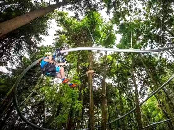 叢林軌道滑索 叢林軌道滑索