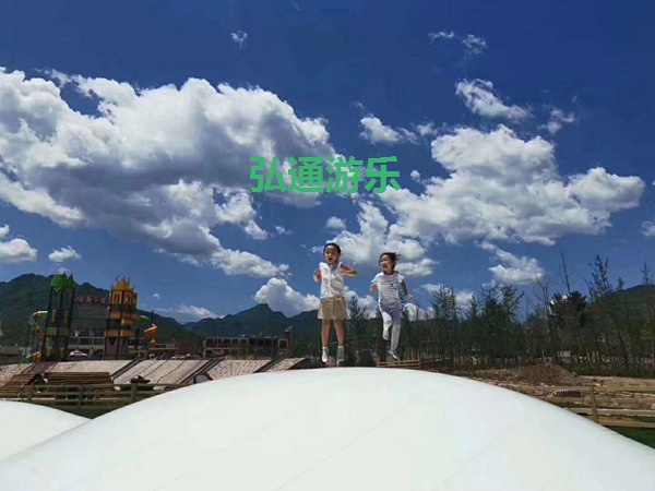 網(wǎng)紅項目 網(wǎng)紅項目